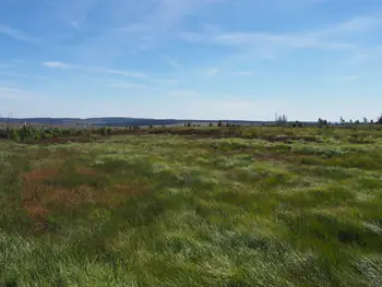 Signal de Botrange (België)